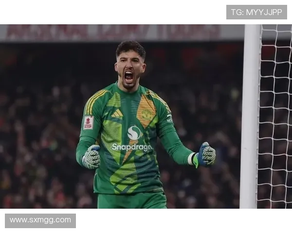 马丁首戴帽子 阿森纳4比1晋级足总杯